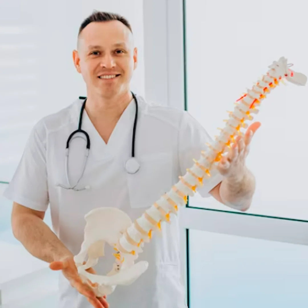 Medical specialist showing the cervical spine for better understanding of how the Coluna Relax cervical pillow provides proper posture by being ergonomic and having higher quality and technology materials